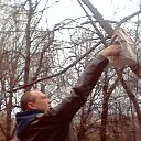 ���� �������, ������, 44 ���� - ��������� 7 ��� 2015