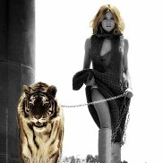  tigress, , 