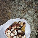 ���� Bablo, �����������, 57 ��� - ��������� 24 ���� 2015