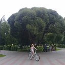 ���� Oleg (�� �������), ������, 62 ���� - ��������� 16 ������� 2015 � ������ ����. ������ ������������� �������