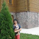 ���� �����, �����������, 49 ��� - ��������� 14 ������� 2015 � ������ ���� ����������