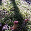  , , 61  -  2  2015   1  2013    ()