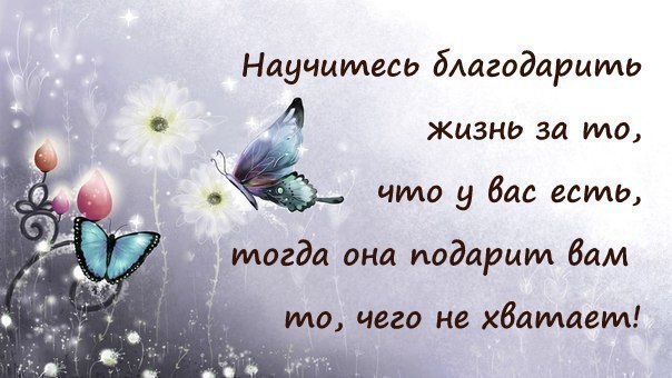 Счастливая семья - 23 июня 2015 в 20:03