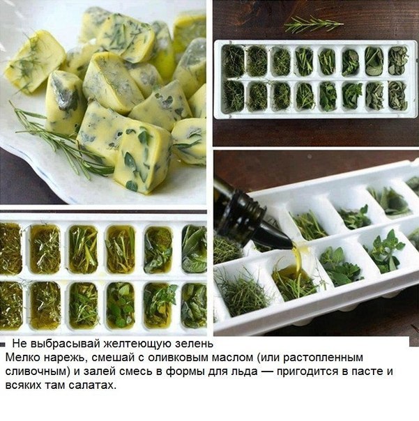 10 ������ �������� ��������, � ������� �� ����� ���� ���� ����. - 7