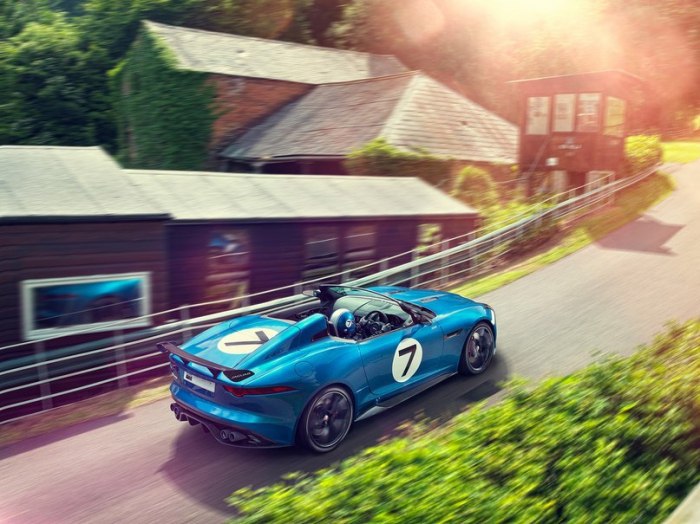 Jaguar Project 7. - 7