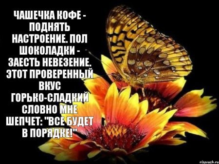   - 27  2015  11:18