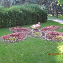 ���� Alevtina, ������������ - ��������� 17 �������� 2015 � ������ ���� ����������
