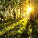 ���� Lu, ����� - ��������� 2 �������� 2015 � ������ ������ ��������