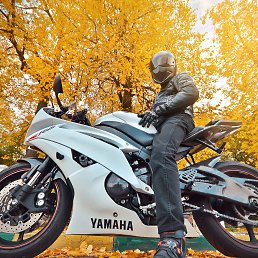 ���� ������, ������ ��������, 40 ��� - ��������� 24 ���� 2015