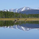  ,  -  13  2015     -    ( )   ( )