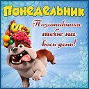 ���� ����, ����� - ��������� 18 ��� 2015 � ������ �������� ��������