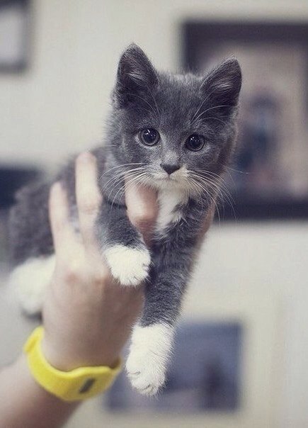   - 25  2015  22:15 - 3