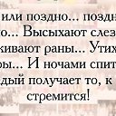 ���� ����, ������, 52 ���� - ��������� 2 ��� 2015 � ������ ������ ��������