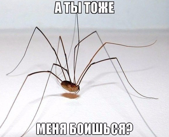  - 1  2015  12:17