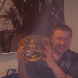 ���� �������, �����������, 45 ��� - ��������� 20 ������� 2015