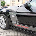 ���� Alvydas, ���������, 49 ��� - ��������� 8 �������� 2015