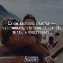 ���� ������, �����, 67 ��� - ��������� 2 �������� 2015 � ������ �5 ����� ������