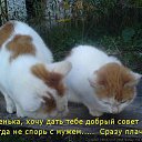 ���� Victor, ���� - ��������� 26 ���� 2015 � ������ ������ ��������