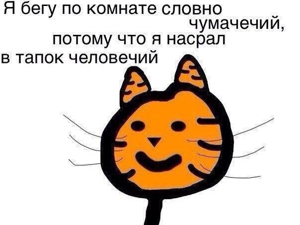������ �� ��� :D - 11 �������� 2015 � 05:39
