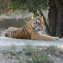 ���� ���������, ��������� - ��������� 8 �������� 2015 � ������ ���� ����������