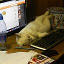 ���� ��������, ������, 43 ���� - ��������� 5 �������� 2015 � ������ ���� ����������