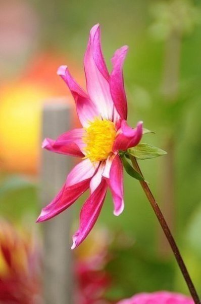 Что бы ни творилось в мире, всё равно останутся вечные ценности: милосердие, добро, любовь — всё то, ... - 3