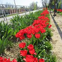 ���� �����, ���� - ��������� 9 ���� 2015 � ������ ���� 2015�.�