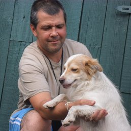 ���� �����, ������, 54 ���� - ��������� 8 ��� 2015