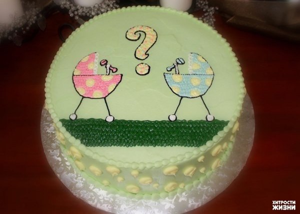     ,  Gender reveal party. ,   , ... - 8