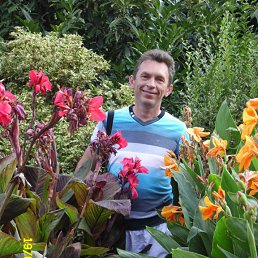 ���� ������, ��������, 58 ��� - ��������� 24 �������� 2015