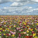 ���� ����, ������ - ��������� 19 ��� 2015 � ������ ���� ����� ��������