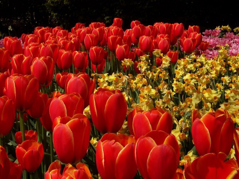 ���, ��� ����� ��� ����, ����� ����� ��� �����, �� ���������, �� �������, � ��� ������ ���� ������! ...