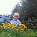 ���� �����, �����-���������, 77 ��� - ��������� 3 �������� 2015 � ������ ������ ��������