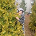 ���� �������, ������ - ��������� 20 ��� 2015 � ������ ���� ����������