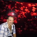 ���� ������, �����������, 57 ��� - ��������� 6 ���� 2015 � ������ ���� ����������