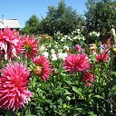 ���� ����, ������, 53 ���� - ��������� 19 �������� 2015 � ������ ����Ȼ