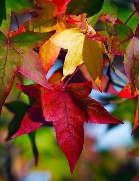   |  |  - 30  2015  22:40 - 6