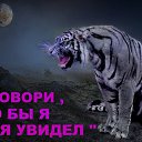 ���� ���������, ������-��-����, 65 ��� - ��������� 28 ���� 2015 � ������ ���� ����������