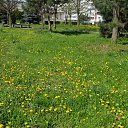 ���� ����, �������, 66 ��� - ��������� 27 ������ 2015 � ������ ������ 2015�