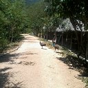    -  ,  -  31  2015   .  2015.  .  6-.