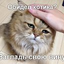���� �������, �������� - ��������� 5 �������� 2015 � ������ �������