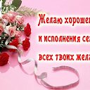 ���� ����, ������, 73 ���� - ��������� 22 ��� 2015 � ������ �������� ��������