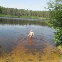  ,  , 67  -  26  2015    2015