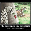  ,  -  15  2015    