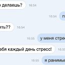 ���� �����, �����, 48 ��� - ��������� 23 ������� 2015 � ������ �14�