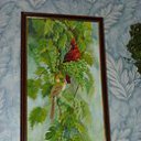 ���� ����� ��������, ������, 39 ��� - ��������� 8 ��� 2015 � ������ ���� ����������