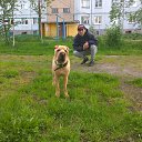 ���� !!!������!!!, �����������, 52 ���� - ��������� 31 ���� 2015 � ������ ����-��� ���)))�