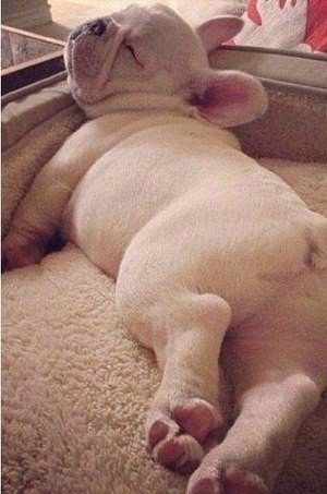   ! #@fitness.blog - 3