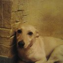 ���� �����, ����, 59 ��� - ��������� 26 ���� 2015 � ������ ������ ��������