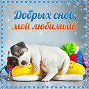 ���� ������ ��������, ����������, 59 ��� - ��������� 21 ������� 2015 � ������ �������� ��������